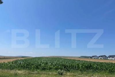 Teren de 10300 mp, în Central - 3