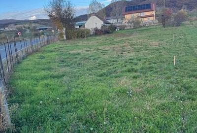 Casă cu 3 camere în Cărpiniș - 9