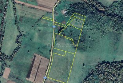 Forotic, Teren Drept Pentru Investitie, 13.2 Hectare (132.00 - 12