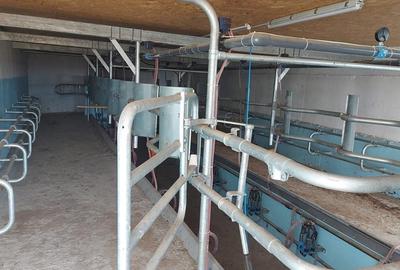 Ferma zootehnică funcțională, populată cu peste 200 capete bovine, aproape de Sâ - 19