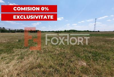 COMISION 0% Teren de vanzare intravilan de 5000 mp in Chisoda - 6