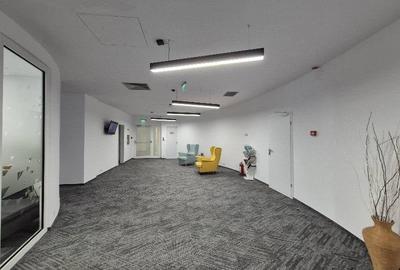 Central Business Park Subinchiriere, Marasesti, 700 - 1750 mp  0% comision! - 4