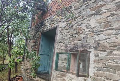 Casa de vanzare comuna Brusturi judet Arad - 1