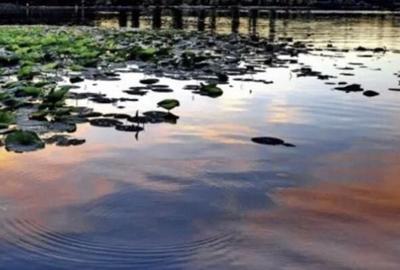 Spațiu comercial, în Siliștea Snagovului - 6