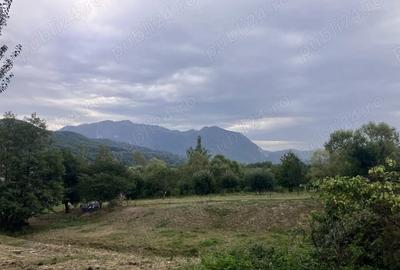 Teren de 3880 mp, în Cheia - 4