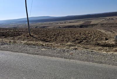 Spațiu comercial, în Mitocu Dragomirnei - 3