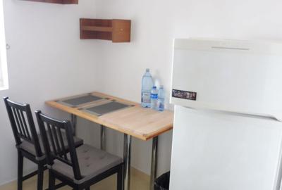 Apartament cu 2 camere decomandat, mobilat în Romană - 12