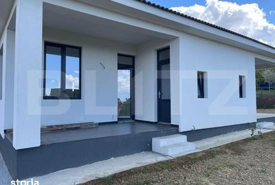 Casă cu 3 camere cu Teren 335 Mp în Paleu - 8
