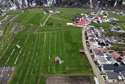 De vanzare teren intravilan 2466 mp Bucovina - Frumosu - 3