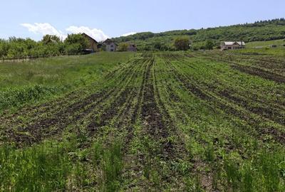 Teren de 2900 mp, în Tureni - 2