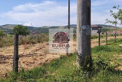 Teren de 12003 mp, în Schela - 6