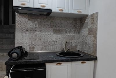 Centru - apartament cu 2 camere mobilat și utilat, demisol - 8