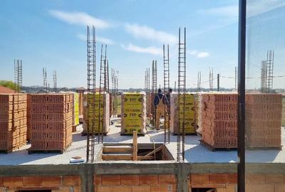 Casă cu 3 camere cu Teren 325 Mp în Șag - 5