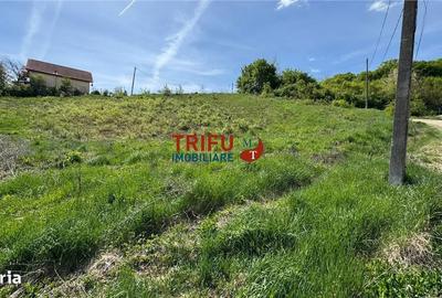 Spațiu comercial, în Micești - 1