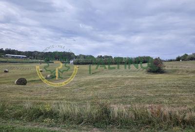 Teren de vanzare ,Tocile, Sibiu, case de vacanta si locuinte - 2