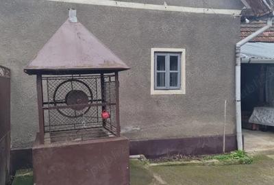 Casa cu teren generos de vanzare in Buteni, jud. Arad, vantana in curte, anexe, colne - 3