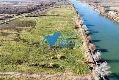 Teren intravilan VULTURU, 5.432 MP, front la Dunare 36 ML - 9