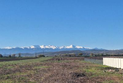 Teren de 3000 mp, în Exterior Sud - 2