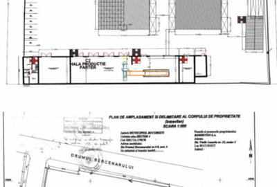 Platforma industriala, 7000 mp teren asfaltat + 1000 mp Hala - 2