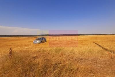 Teren pentru casa/case in Branesti pe strada Toporasi - 11