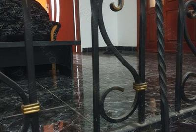 Vila Calea Bucure?ti str Petre Ispirescu 2200 euru mp - 6