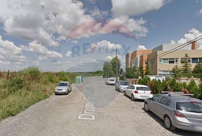 Teren Construcții intravilan de 930 mp, în Sisești - 5