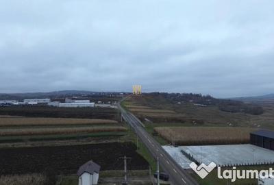 Teren de 14066 mp, în Mihoveni - 8