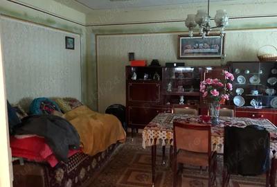 Casă cu 4 camere cu Teren 2334 Mp în Dobroț - 19