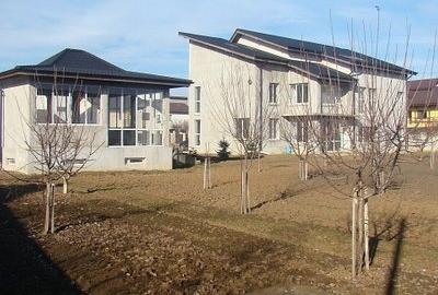 Casă individuală cu 9 camere cu Teren 3000 Mp în Mogoșoaia - 2