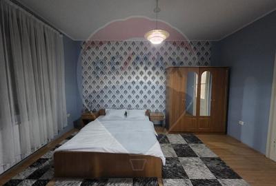 Inchiriere casa cu terasa si curte zona Piata Mica Spitalul Judetean - 12