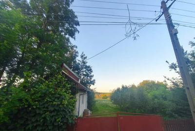 Casă cu 2 camere cu Teren 3500 Mp în Negostina - 1