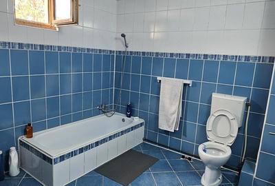 MITICA APOSTOL - casa P+M, 2004, ter-496mp, d-20ml la 159000 eu - 10