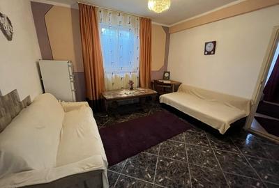 Apartament cu doua camere Calea Lipovei - 4