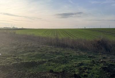 Teren de 5000 mp, în Belciugatele - 2