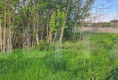 Teren de 6659 mp, în Nisipoasa - 4