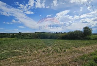 Teren de 12000 mp, în Pădureni (Șendriceni) - 2