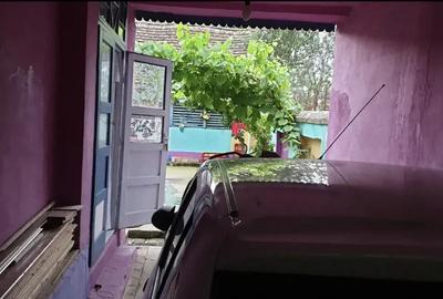 Casa individuala Ciortea jud. CS - 4