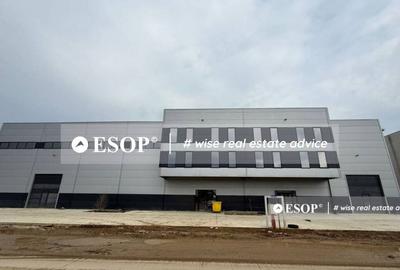 Hala de vanzare, zona Mogosoaia, 1500mp, ID 15424, - 1