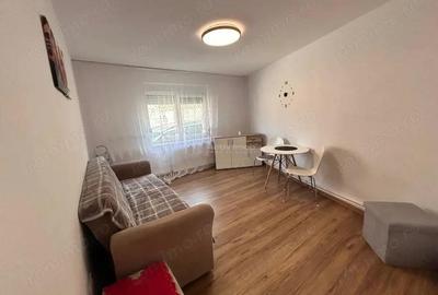 Bocsa Montana, Casa Cocheta pentru Familie mare. - 3