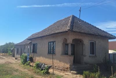 Seaca de Camp, jud. Dolj - 1