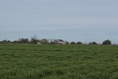 Vanzari terenuri in Agigea zona Golful Pescarului - 1