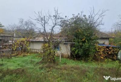 Casă cu 4 camere cu Canalizare în Mineri - 3