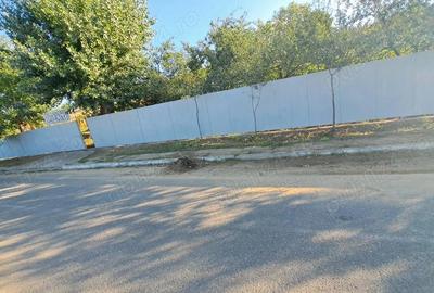 Galati Beresti - De vanzare 1 hectar plantatie de vita de vie si casa cu utilitati - 10