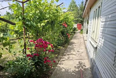 Casă cu 3 camere în Central - 1