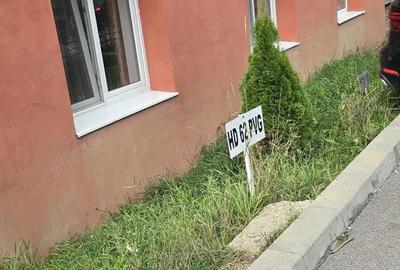 Vand apartamnet Lupeni . - 7