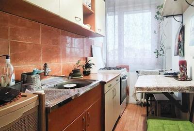 Apartament cu 2 camere, mobilat în Malu Roșu