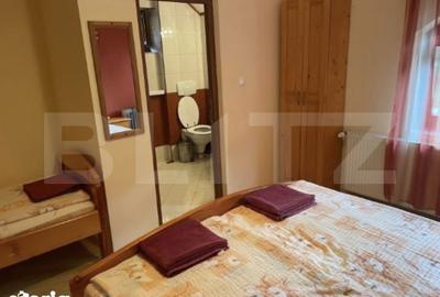 Spațiu comercial, de 450 mp, în Orăștioara de Sus - 6