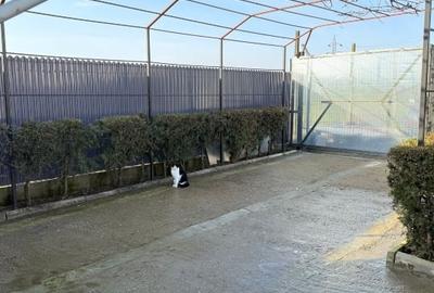 Căsuță cochetă zona Lazu - ieșire la șoseaua Cumpenei - 9