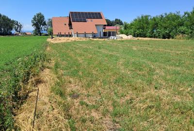 Teren de Constructii Sanpetru - 1