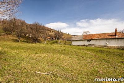 FILM! Pe 6.500mp teren + casa parinteasca, incantatoare pozitionare, acces facil - 9